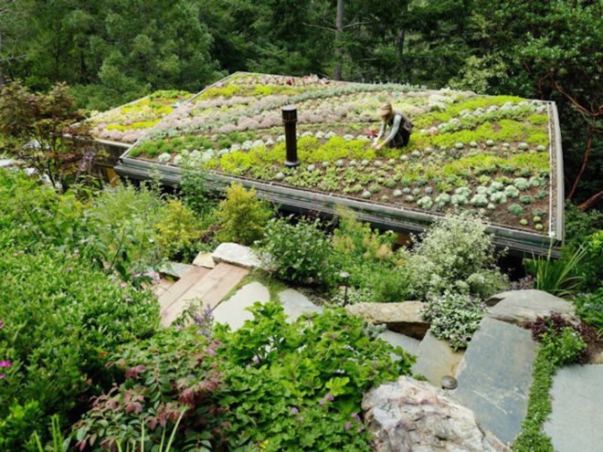 rooftop garden, woodland cabins, california cabins, natural-looking architecture, low-impact construction, cabin art studio, cabin yoga space, cabin guest home, cabin guest room, cabins with natural light
