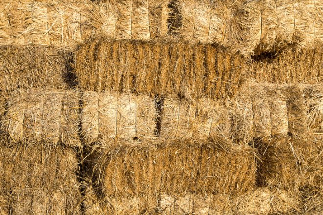 Modcell, straw bales, university of bath, straw houses, straw-bale, sustainable building, bristol, uk, energy efficiency, insulation