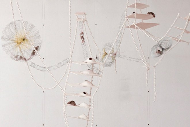 people and animals, Architecture For Dogs, Nest House, UID Architects, Giraffe House, Auckland Zoo, Monk Mackenzie, Glamuzina Patterson, Keio University, Co+Labo department,