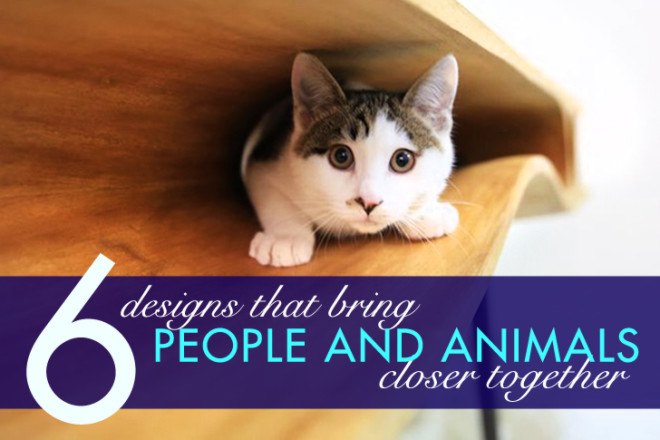people and animals, Architecture For Dogs, Nest House, UID Architects, Giraffe House, Auckland Zoo, Monk Mackenzie, Glamuzina Patterson, Keio University, Co+Labo department,