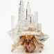 3D printing for animals, animal care, 3D printed human cells, prosthetics for animals, Heriot Watt University, Beauty the Bald Eagle, Hermit Crabs shelter, TurboRoo The Chihuahua, Prosthetic Foot, Buttercup the Duck