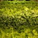 world’s largest indoor vertical farm, indoor vertical farm, vertical farm, Newark, New Jersey, converted steel factory, aeroponics, AeroFarms, RBH Group, urban farm, urban farming, sustainable farming, micro fleece cloth, LEDs, zero pesticides,