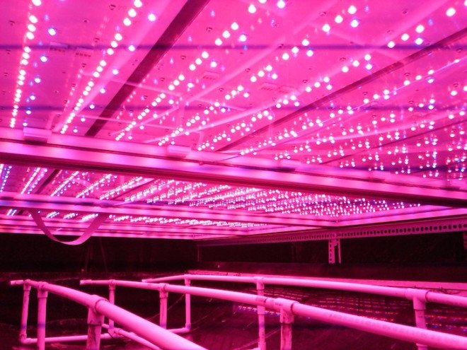 world’s largest indoor vertical farm, indoor vertical farm, vertical farm, Newark, New Jersey, converted steel factory, aeroponics, AeroFarms, RBH Group, urban farm, urban farming, sustainable farming, micro fleece cloth, LEDs, zero pesticides,