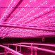 world’s largest indoor vertical farm, indoor vertical farm, vertical farm, Newark, New Jersey, converted steel factory, aeroponics, AeroFarms, RBH Group, urban farm, urban farming, sustainable farming, micro fleece cloth, LEDs, zero pesticides,