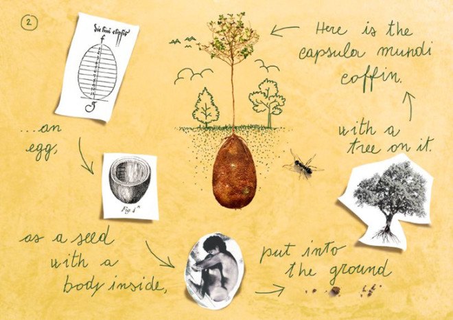 Capsula Mundi, burial pods, tree cemeteries, memorial forests, human tree pods, graveyard, cemetery, cemetery of trees, living memorial forest