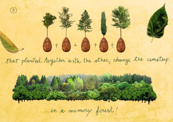 Capsula Mundi, burial pods, tree cemeteries, memorial forests, human tree pods, graveyard, cemetery, cemetery of trees, living memorial forest