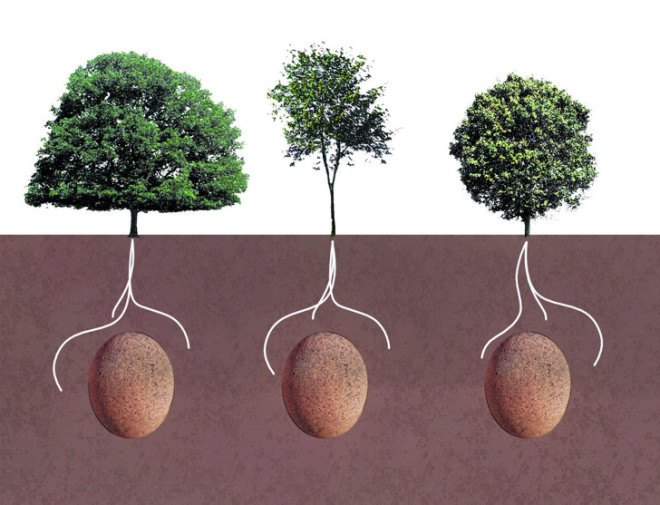 Capsula Mundi, burial pods, tree cemeteries, memorial forests, human tree pods, graveyard, cemetery, cemetery of trees, living memorial forest