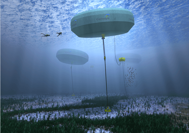 Carnegie Wave Energy, Carnegie Perth Wave Energy Project, CETO Technologies, CETO 5, HMAS Stirling, Garden Island, wave energy, hydraulic power, wave power