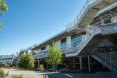 Facebook, Facebook Menlo Park headquarters, Facebook headquarters, LEED certified architecture, Frank Gehry, Frank Gehry Facebook, green roof, MPK 20, MPK 20 green roof, Facebook green roof,