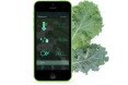 Freight Farms, hydroponics, hydroponic farm, urban farming, shipping containers, energy-efficient farming, retrofitted shipping containers, farming app, green technology