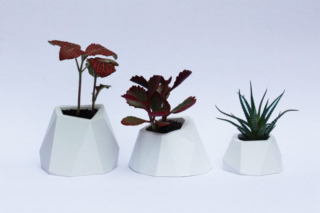 biodegradable planters, 3d printed planters, fiilo planters, fiilo, geometric planters, faceted planters, PLA plastic