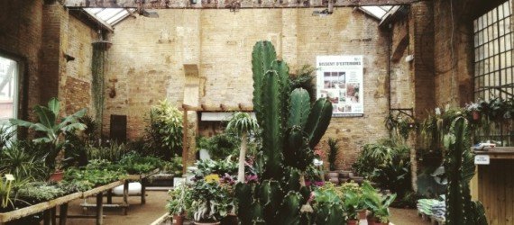 hivernacle, barcelona, garden center, green renovation, green design, eco architecture, urban design, gardening, plants, planters, hanging plants, urban garden