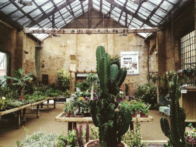 hivernacle, barcelona, garden center, green renovation, green design, eco architecture, urban design, gardening, plants, planters, hanging plants, urban garden