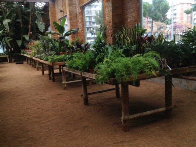 hivernacle, barcelona, garden center, green renovation, green design, eco architecture, urban design, gardening, plants, planters, hanging plants, urban garden