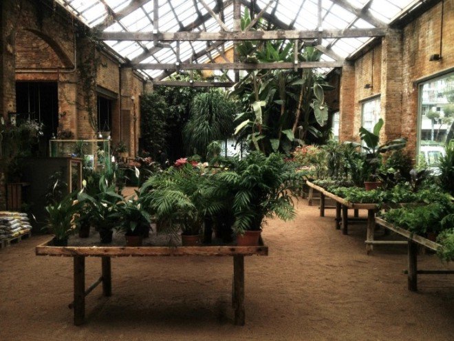 hivernacle, barcelona, garden center, green renovation, green design, eco architecture, urban design, gardening, plants, planters, hanging plants, urban garden