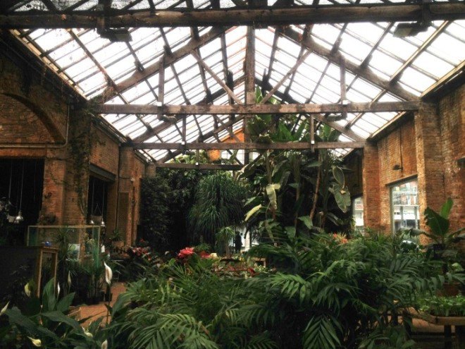 hivernacle, barcelona, garden center, green renovation, green design, eco architecture, urban design, gardening, plants, planters, hanging plants, urban garden