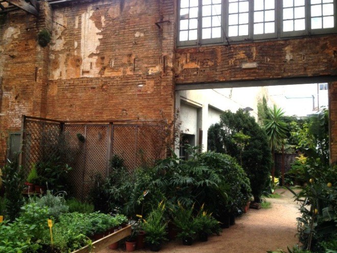 hivernacle, barcelona, garden center, green renovation, green design, eco architecture, urban design, gardening, plants, planters, hanging plants, urban garden