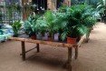 hivernacle, barcelona, garden center, green renovation, green design, eco architecture, urban design, gardening, plants, planters, hanging plants, urban garden