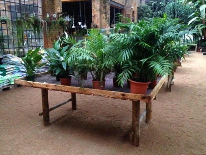 hivernacle, barcelona, garden center, green renovation, green design, eco architecture, urban design, gardening, plants, planters, hanging plants, urban garden