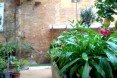 hivernacle, barcelona, garden center, green renovation, green design, eco architecture, urban design, gardening, plants, planters, hanging plants, urban garden