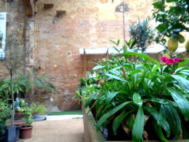 hivernacle, barcelona, garden center, green renovation, green design, eco architecture, urban design, gardening, plants, planters, hanging plants, urban garden