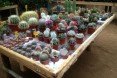 hivernacle, barcelona, garden center, green renovation, green design, eco architecture, urban design, gardening, plants, planters, hanging plants, urban garden