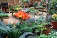 hivernacle, barcelona, garden center, green renovation, green design, eco architecture, urban design, gardening, plants, planters, hanging plants, urban garden