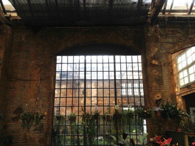 hivernacle, barcelona, garden center, green renovation, green design, eco architecture, urban design, gardening, plants, planters, hanging plants, urban garden