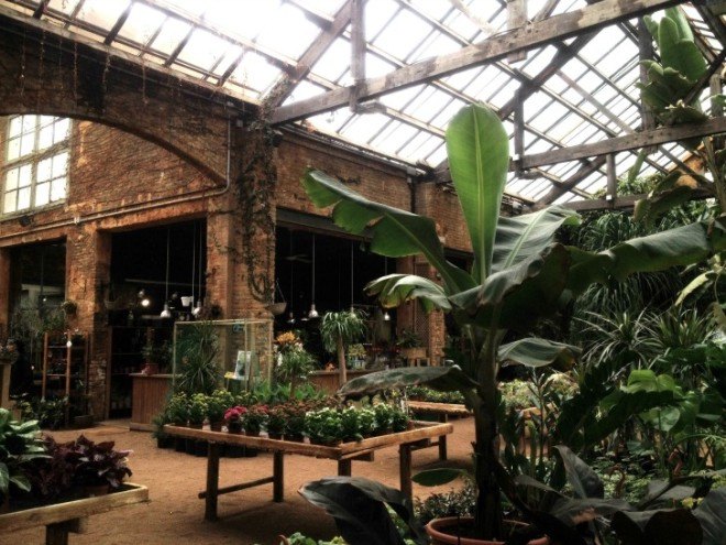 hivernacle, barcelona, garden center, green renovation, green design, eco architecture, urban design, gardening, plants, planters, hanging plants, urban garden