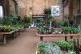 hivernacle, barcelona, garden center, green renovation, green design, eco architecture, urban design, gardening, plants, planters, hanging plants, urban garden