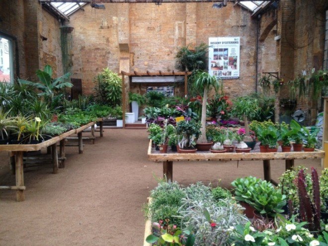 hivernacle, barcelona, garden center, green renovation, green design, eco architecture, urban design, gardening, plants, planters, hanging plants, urban garden