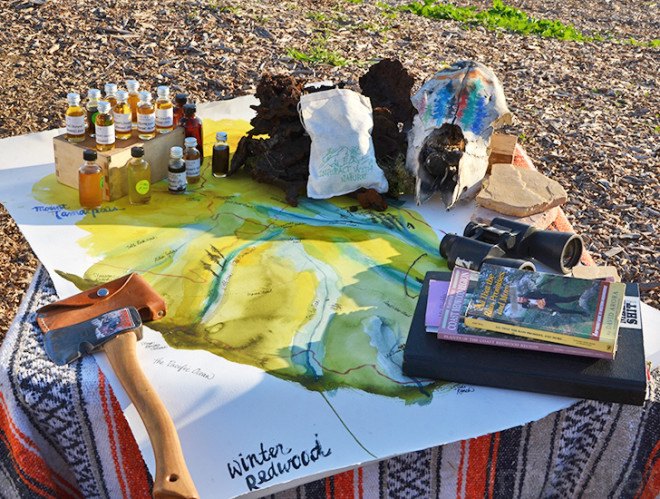 juniper ridge, winter redwood, wilderness perfume, wildcrafted fragrance, natural scents, green companies, environmental stewardship, sustainable design, green design, green business, sustainable business, wildcrafting, mount tamalpais, redwood forest