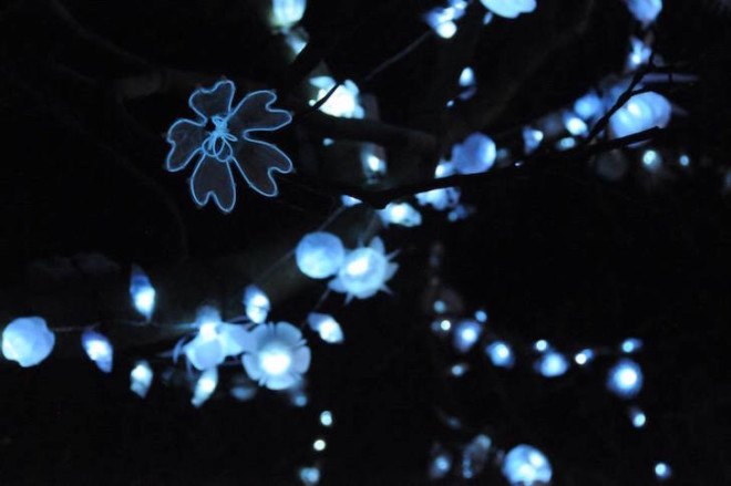 LED lights, tree installation, recycled plastic bottles, Nottingham, Sarah Turner, plastic bottle art, Light Night nottingham, Light Night, Light Night 2015,