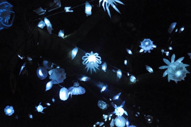LED lights, tree installation, recycled plastic bottles, Nottingham, Sarah Turner, plastic bottle art, Light Night nottingham, Light Night, Light Night 2015,