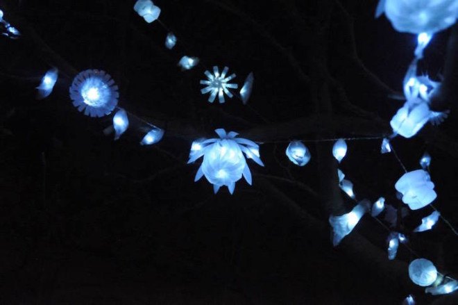 LED lights, tree installation, recycled plastic bottles, Nottingham, Sarah Turner, plastic bottle art, Light Night nottingham, Light Night, Light Night 2015,