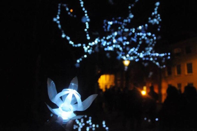 LED lights, tree installation, recycled plastic bottles, Nottingham, Sarah Turner, plastic bottle art, Light Night nottingham, Light Night, Light Night 2015,