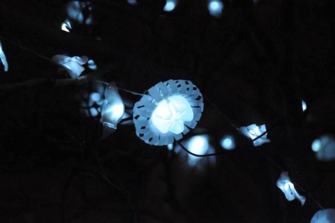 LED lights, tree installation, recycled plastic bottles, Nottingham, Sarah Turner, plastic bottle art, Light Night nottingham, Light Night, Light Night 2015,