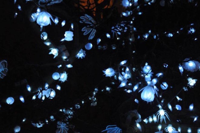 LED lights, tree installation, recycled plastic bottles, Nottingham, Sarah Turner, plastic bottle art, Light Night nottingham, Light Night, Light Night 2015,