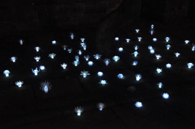 LED lights, tree installation, recycled plastic bottles, Nottingham, Sarah Turner, plastic bottle art, Light Night nottingham, Light Night, Light Night 2015,