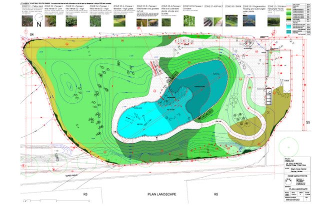 King’s Cross, Ooze architects, Marjetica Potrč, Of Soil and Water: King’s Cross Pond Club, King’s cross redevelopment, Efa Pfannes, ecosystem, small-scale pond, natural pool, natural swimming pool, natural pond, wetland plants