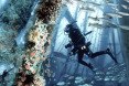 Noah Oasis skyscraper, offshore oil rigs, oil spill, marine life, bio-habitat, vertical habitat, green skyscraper, eVolo skyscraper competition 2015, coral reef, environmental destruction