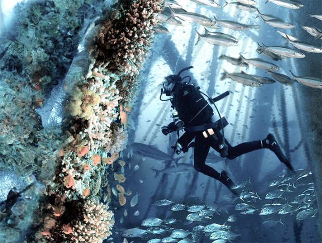 Noah Oasis skyscraper, offshore oil rigs, oil spill, marine life, bio-habitat, vertical habitat, green skyscraper, eVolo skyscraper competition 2015, coral reef, environmental destruction