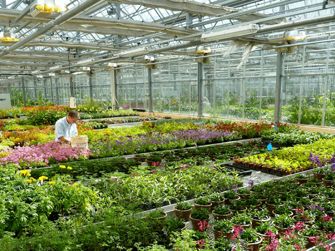 Phipps Center for Sustainable Landscapes, Phipps Conservatory and Botanical Gardens, Pittsburgh, Pennsylvania, green buildings, green architecture, LEED Platinum buildings, Well certified buildings, Living Building Challenge certification, living building challenge, Four Stars Sustainable SITES Initiative, Well building platinum certified, renewable energy, solar panels, solar power, rainwater harvesting, net-zero energy, net-zero architecture, wind turbines, geothermal wells, geothermal technology, Rooftop Energy Recovery Unit, rain gardens, green roof, former brownfield
