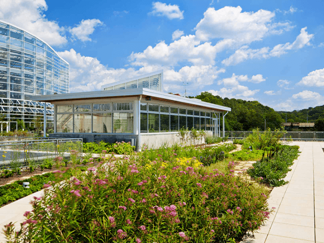 Phipps Center for Sustainable Landscapes, Phipps Conservatory and Botanical Gardens, Pittsburgh, Pennsylvania, green buildings, green architecture, LEED Platinum buildings, Well certified buildings, Living Building Challenge certification, living building challenge, Four Stars Sustainable SITES Initiative, Well building platinum certified, renewable energy, solar panels, solar power, rainwater harvesting, net-zero energy, net-zero architecture, wind turbines, geothermal wells, geothermal technology, Rooftop Energy Recovery Unit, rain gardens, green roof, former brownfield