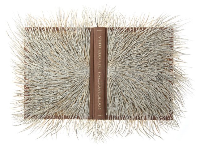 barbara wildenboer, wildenboer, art, artist, book, south african, cape town, michaelis school of fine art, university of capetown, the lotus eaters, oliewenhuis, repurposed