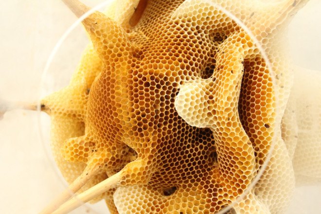 green design, eco design, sustainable design , bees, beekeeping, bee sculptures, honeycomb sculptures, Ren Ri, Pearl Lam Galleries Soho, honeycomb map
