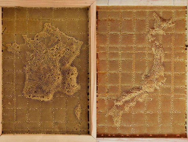 green design, eco design, sustainable design , bees, beekeeping, bee sculptures, honeycomb sculptures, Ren Ri, Pearl Lam Galleries Soho, honeycomb map