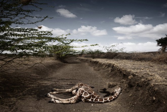 Scarcity Waste, Syngenta Photography Award, Somerset House, photographic exhibition, photography, resource consumption, pollution, inequality, hunger, poverty, global development, Mustafah Abdulaziz, Benedikt Partenheimer,