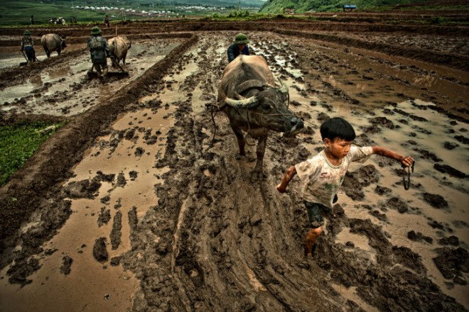 Scarcity Waste, Syngenta Photography Award, Somerset House, photographic exhibition, photography, resource consumption, pollution, inequality, hunger, poverty, global development, Mustafah Abdulaziz, Benedikt Partenheimer,
