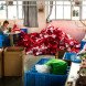 Scarcity Waste, Syngenta Photography Award, Somerset House, photographic exhibition, photography, resource consumption, pollution, inequality, hunger, poverty, global development, Mustafah Abdulaziz, Benedikt Partenheimer,